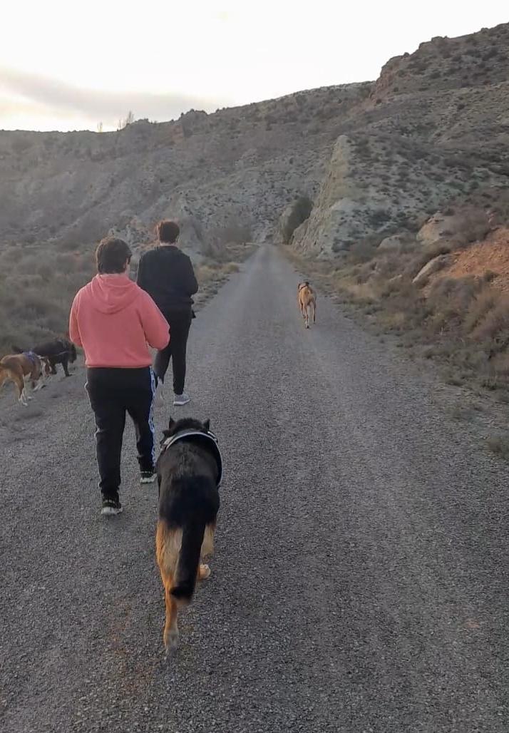 Paseo con perros Protectora Amigo Mío Teruel